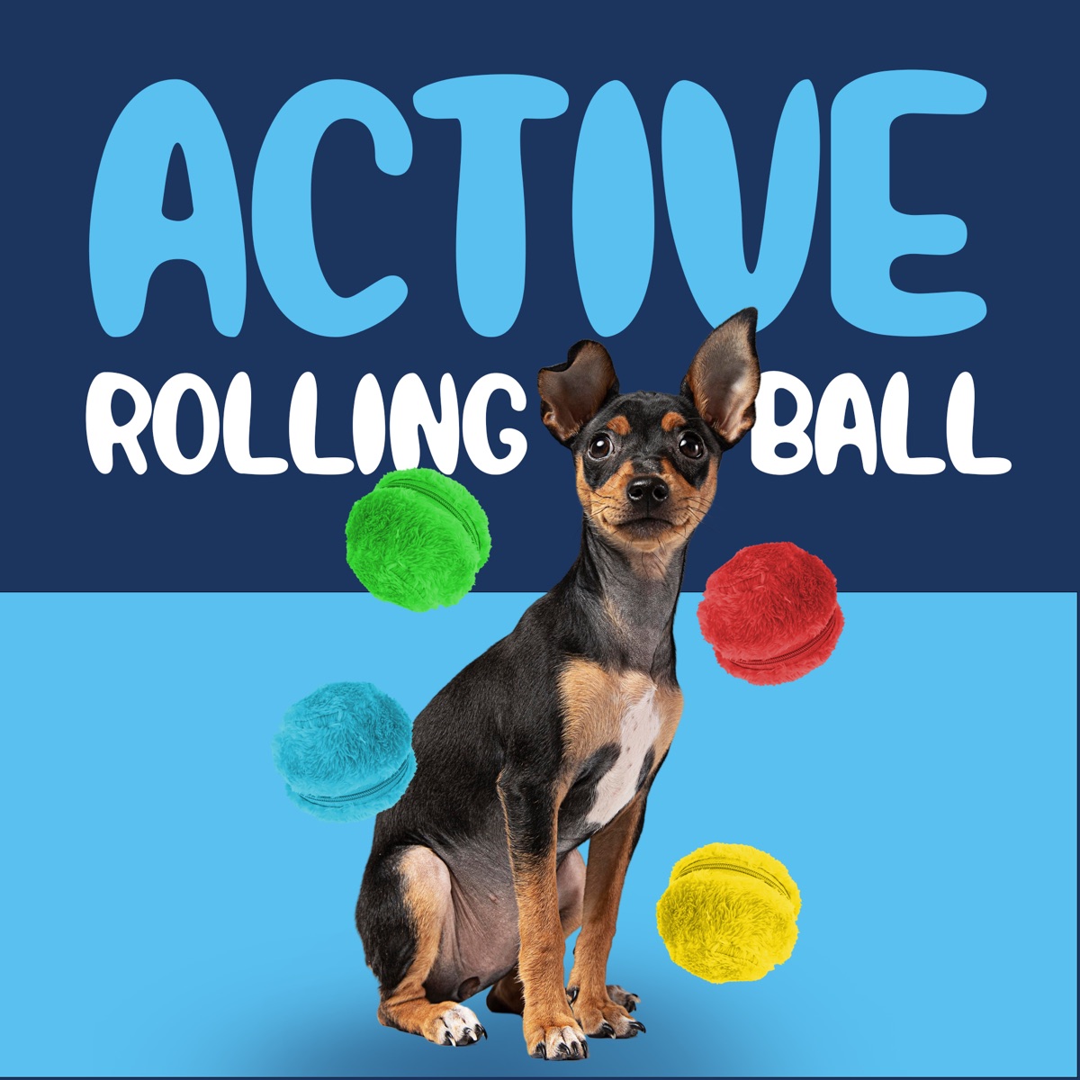 A square social post split into a navy top band and a light blue lower band. ACTIVE in large light blue rounded capitals, ROLLING BALL in white beneath it, and a miniature pinscher sitting in the centre with four fluffy balls, green, red, blue and yellow, floating around it. No logo.